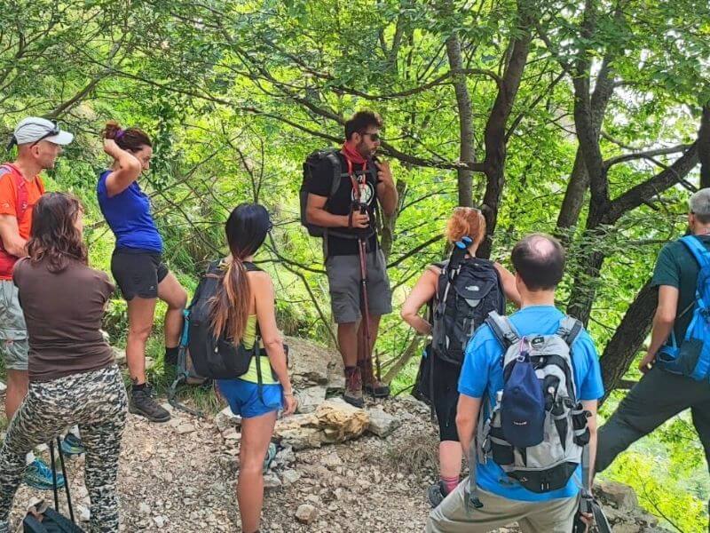 come organizzare viaggio safari africa che fare