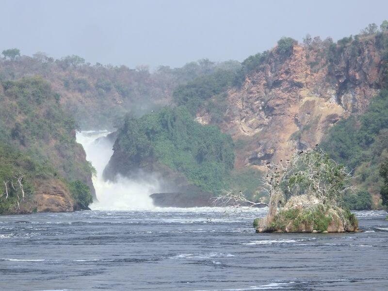 come organizzare viaggio safari africa quale fare leone