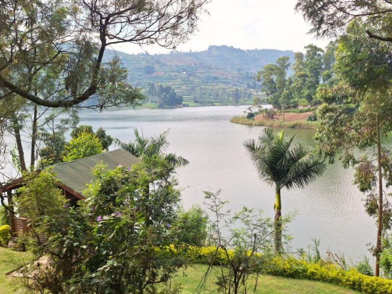 come organizzare viaggio africa safari leopardo