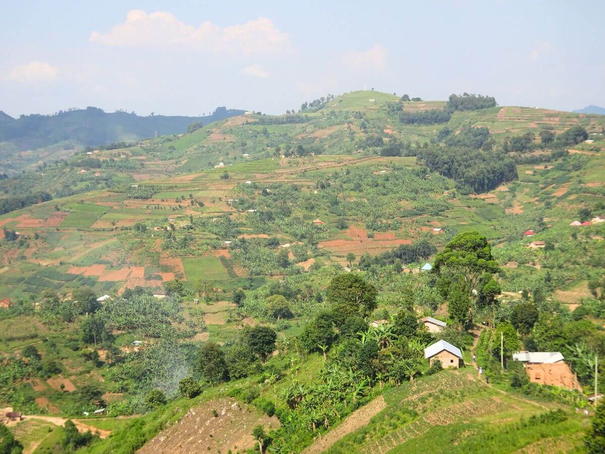 come organizzare viaggio africa safari leopardo