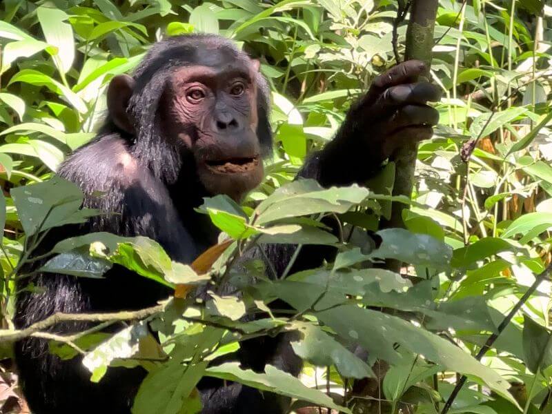 come organizzare viaggio africa alessio delle cave