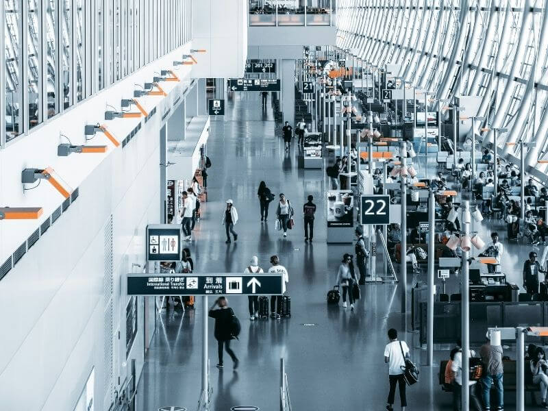 come organizzare viaggio safari africa quale fare leone